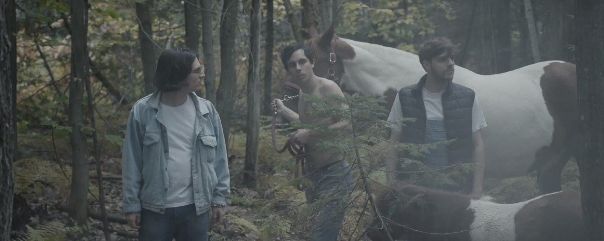Un nouveau clip pour Choses sauvages