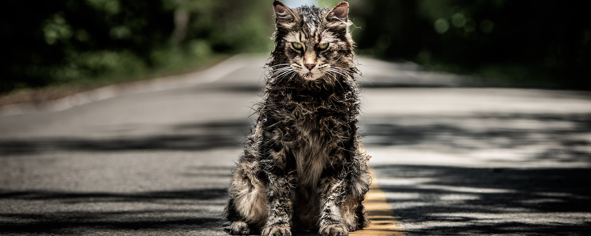 Un nouvel aperçu pour Pet Sematary