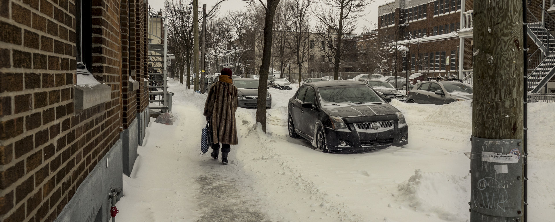 Rastas blancs d'Amérique