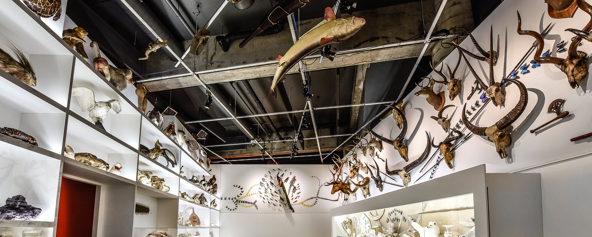 Visite de la nouvelle exposition de merveilles et de curiosités à Pointe-à-Callière