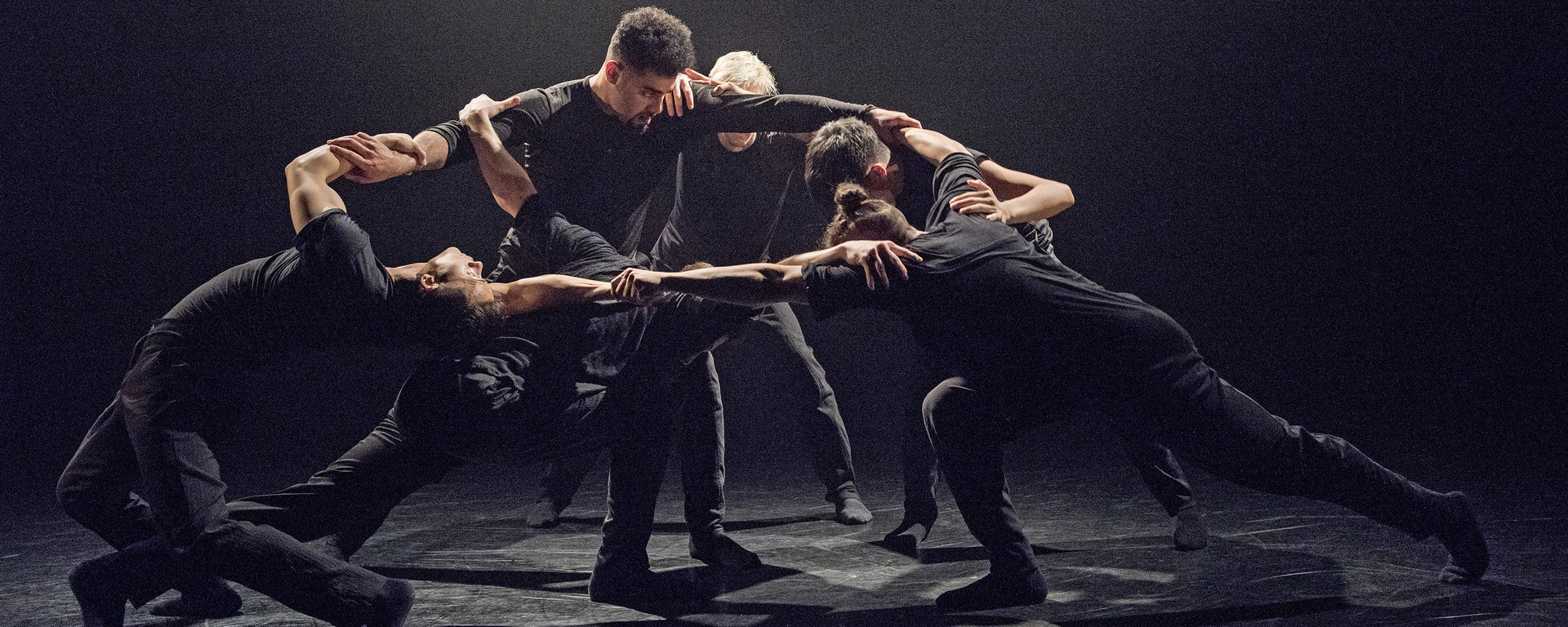 Wen Wei Dance : Le mouvement comme langage universel