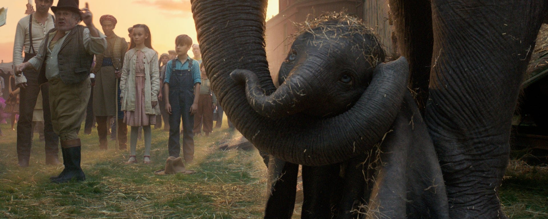 Dumbo : Éléphant blanc