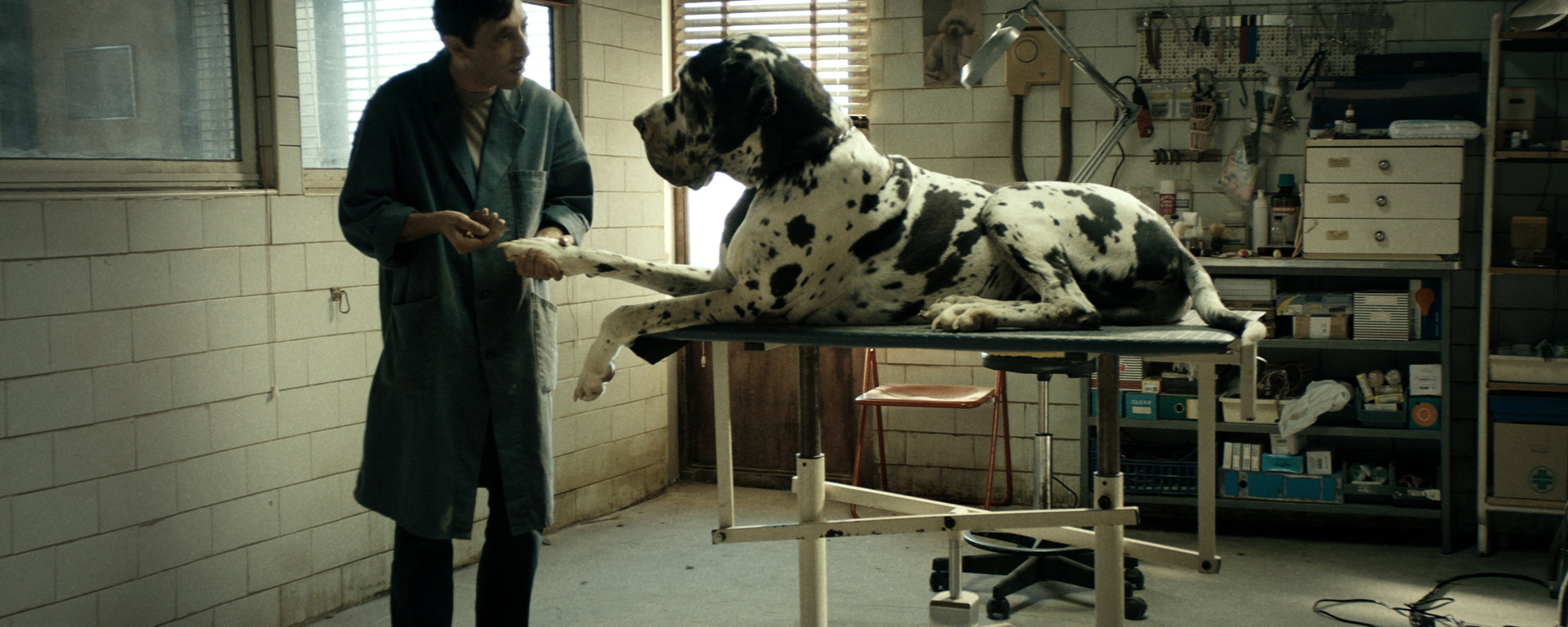 Dogman : Apprivoiser la bête
