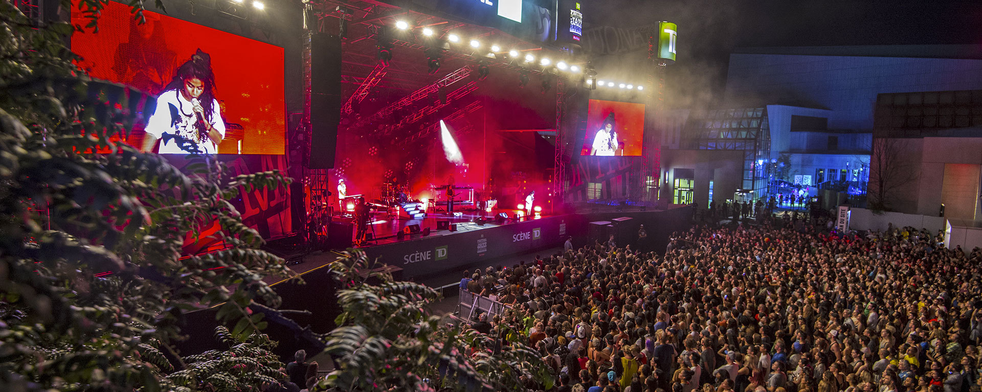 Festival de Jazz : programmation généreuse au grand air