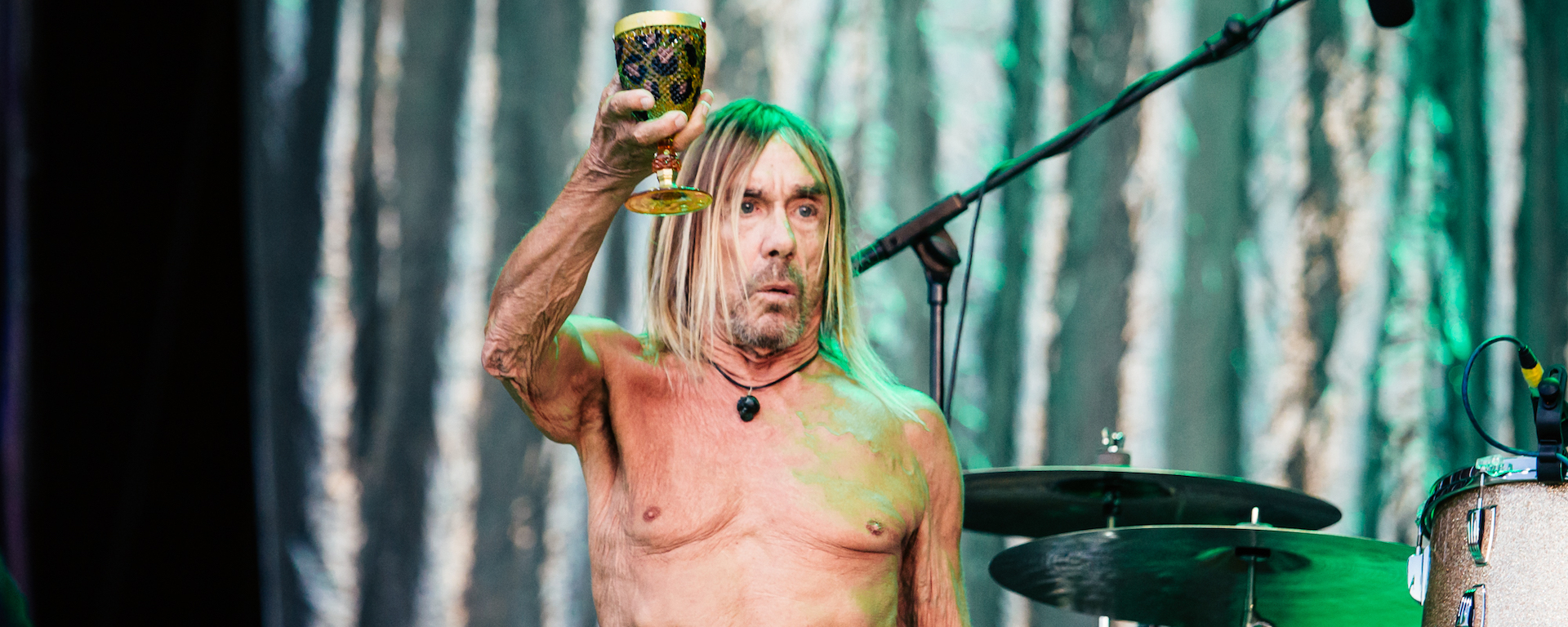 Iggy pop 2025 nouvel album free