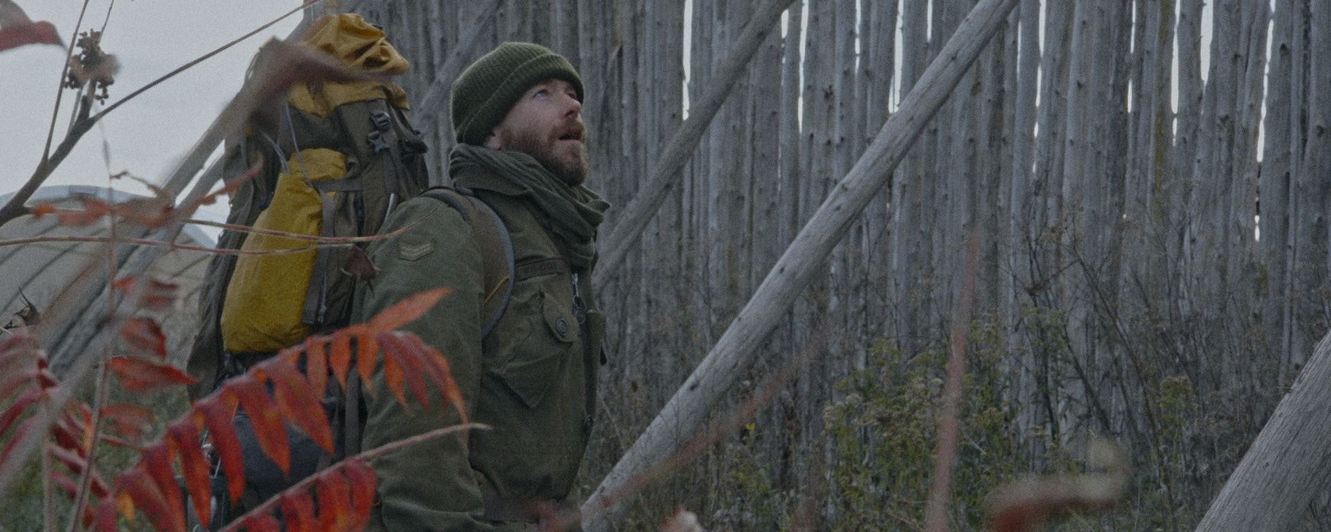 Wilcox : La liberté à tout prix