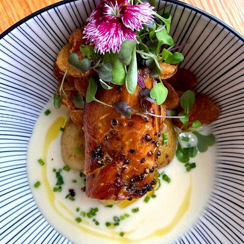 Albacore
