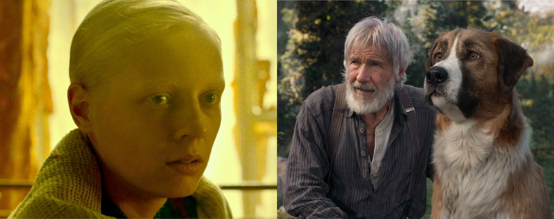 Une grande fille, Ordinary Love, The Call of the Wild, Fahim, Le lion