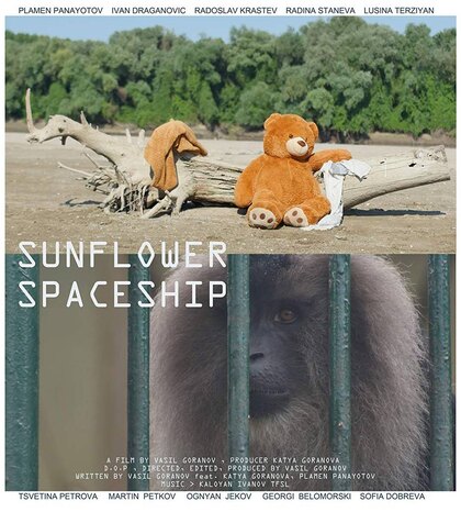 Sunflower Spaceship 1