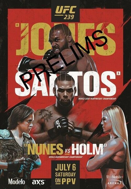 UFC 239